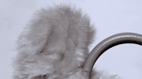 snrgwozdik giphygifmaker GIF