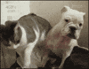 talk dont GIF