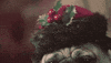 winter wonderland snow GIF by Columbia Records