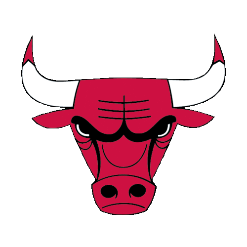 Chicago Bulls Logo Sticker by NBA