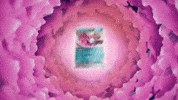Pokemon Tcg GIF by Pokémon