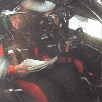 Driving We Have A Problem GIF by FIA World Rally Championship