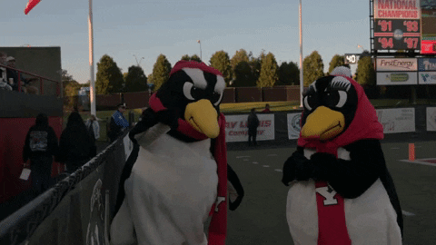 Ysu Y And Proud GIF by Youngstown State University