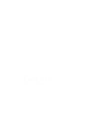 CalvoBR  Sticker