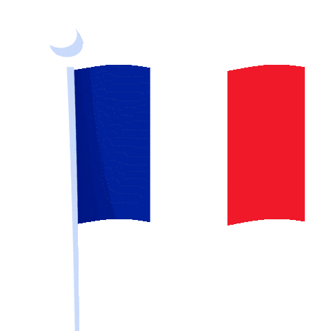France Flag Sticker by ITP Tires And Wheels