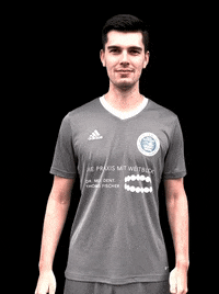 Football No GIF by Vfb.1919.vacha