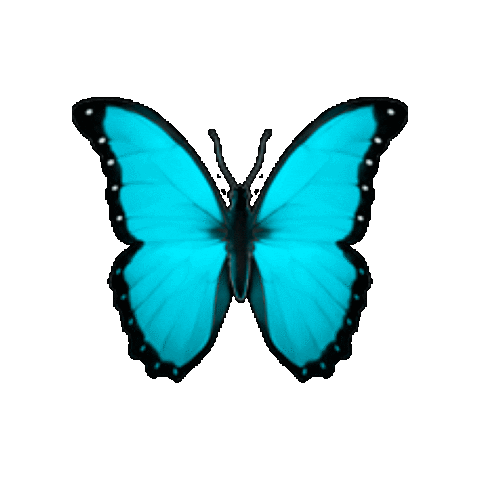 Fly Butterfly Sticker by HELPNOFEED