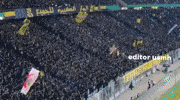 mahmoudsqdk usmh editor usmh editorusmh GIF