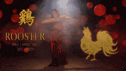 New Year Zodiac GIF by BuzzFeed