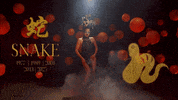 New Year Zodiac GIF by BuzzFeed
