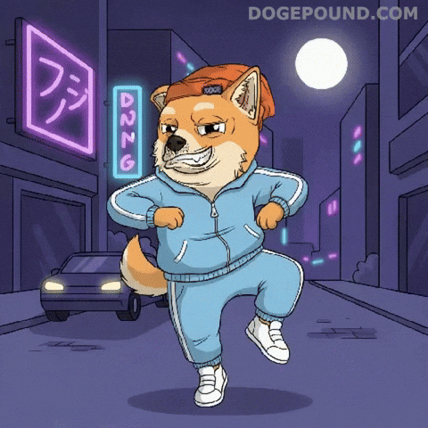 Lets Go Dancing GIF by Doge Pound