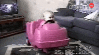 Christmas Baby Fail