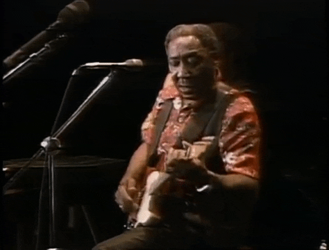 guitar playing GIF by Muddy Waters