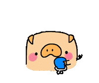 pig piglet Sticker