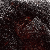 glitch flicker GIF by Death Orgone