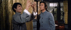 martial arts omg GIF by Shaw Brothers