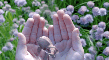 magic leap GIF by Product Hunt