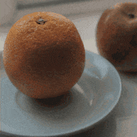 ewanjonesmorris art weird orange apple GIF
