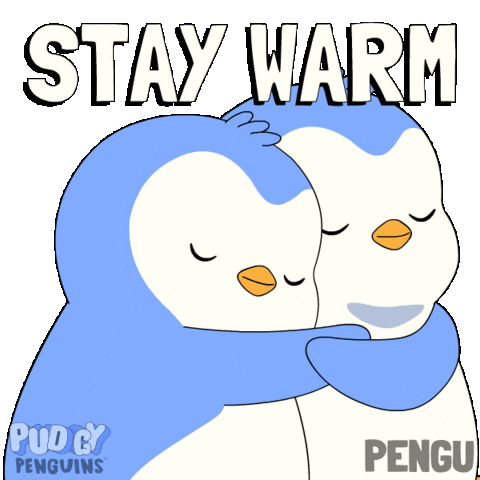 Freezing Take Care Sticker by Pudgy Penguins