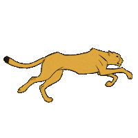 Art Running Sticker