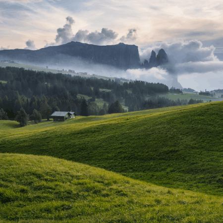 ian-schenkel giphygifmaker giphyattribution GIF