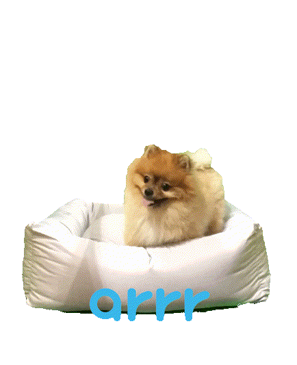 아르르 Sticker by arrr_official