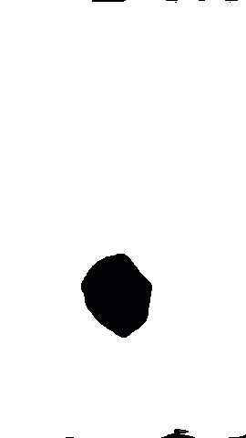 Tammy Sticker by TammyBrice