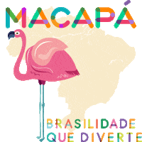curtamarisol marisol macapa Sticker