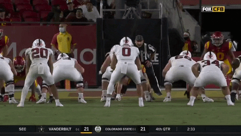 gostanford giphyupload GIF