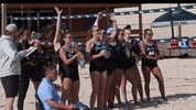 beach volleyball GIF by GreenWave