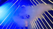 Go Blue Michigan Football GIF by Michigan Athletics