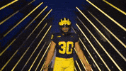 Go Blue Michigan Football GIF by Michigan Athletics
