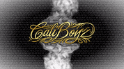 thecaliboyz southafrica terpenes caliboyz GIF