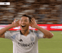Excited Lets Go GIF by Major League Soccer
