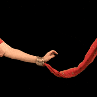 Festival Love GIF by trichak