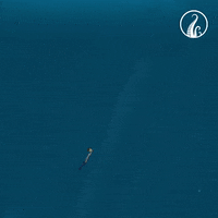 the deep GIF by The Deep (Series)