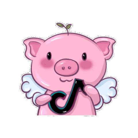 Tik Tok Instagram Sticker