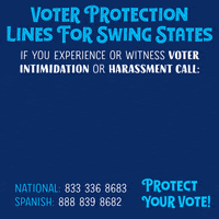 Election 2020 Vote Blue GIF by Creative Courage