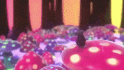 kaceymusgraves kacey musgraves oh what a world GIF