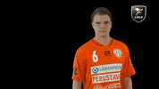 Floorball Salibandy GIF by F-liiga