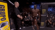 ufc sports sport ufc mma GIF