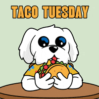 Hungry Taco Bell GIF by BoDoggos
