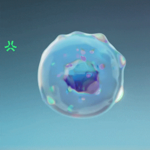 Fashion Nfts GIF by Bozoverse