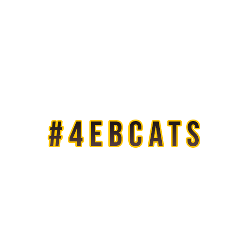IXSERA cat bolts etch 4ebcat Sticker