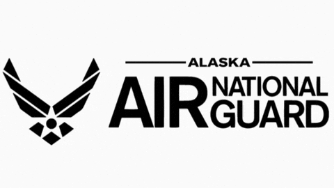 Air Force Army GIF