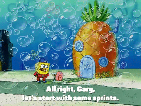 season 3 the great snail race GIF by SpongeBob SquarePants