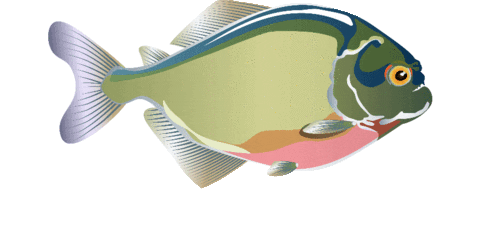 sicredisudoestemtpara giphyupload pacu sicredi sudoeste sicredi sudoeste agro Sticker