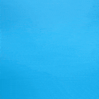 Soccer No GIF by Charlotte FC