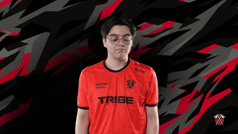 No Idea What GIF by Tribe Gaming