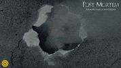 Post Mortem Film GIF by InterCom